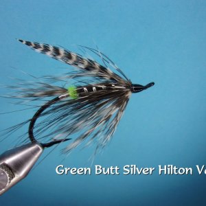 Green Butt Silver Hilton Variant.jpg