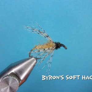 Byron's Soft Hackle.jpg