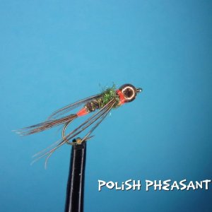 Polish Pheasant Tail.jpg