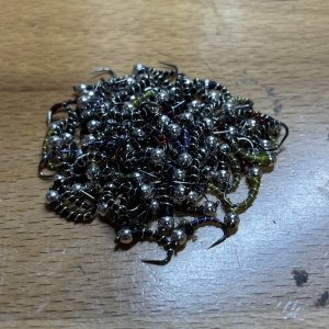 IMG_5343.jpeg
