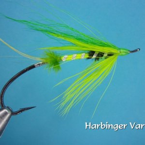 Harbinger Variant.jpg