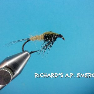 Richard's A.P. Emerger.jpg