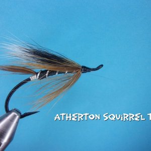 Atherton Squirrel Tail.jpg