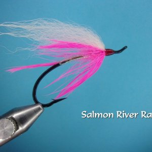 Salmon River Rajah.jpg