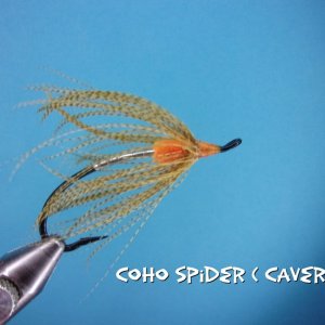 Coho Spider.jpg