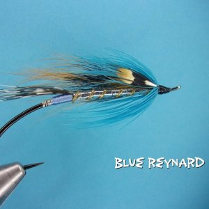 Blue Reynard.jpg