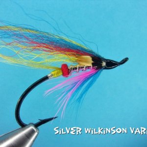 Silver Wilkinson Hairwing.jpg