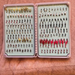Chiro box (1).jpg