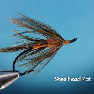 Steelhead Pat.jpg