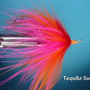 Tequila Sunrise Intruder.jpg