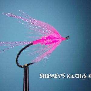 Shewey's Kilchis Killer.jpg