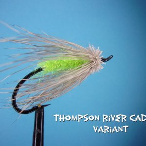 Thompson River Caddis.jpg