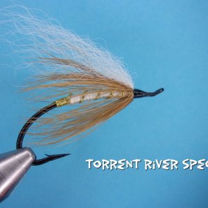 Torrent River Special.jpg