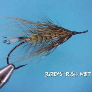 Bird's Irish Wet.jpg