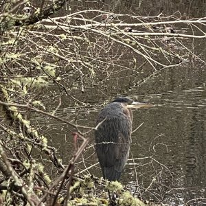 IMG_3920.jpeg