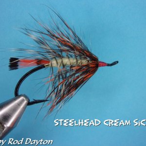 Steelhead Cream Sickle.jpg