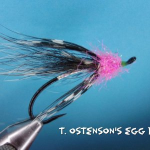 T. Ostenson's Egg Dart.jpg