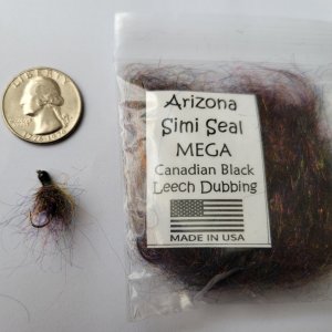 Canadian Black Simi Seal Leech.jpg