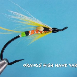 Orange Fish Hawk Variant.jpg