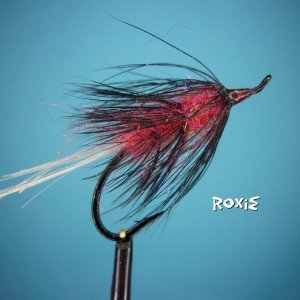 Roxie.jpg