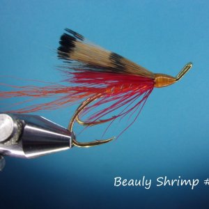 Beauly Shrimp #2.jpg