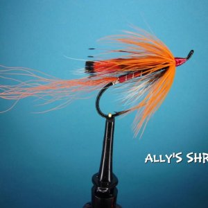 alley's shrimp.jpg