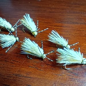 Butch caddis.jpg