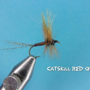 Catskill Red Quill.jpg