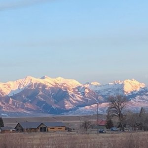 IMG_3728.jpeg