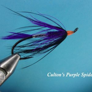 Culton's Purple Spider.jpg