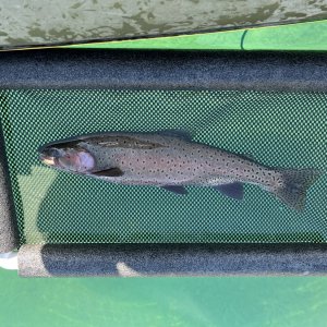 IMG_8860.jpeg