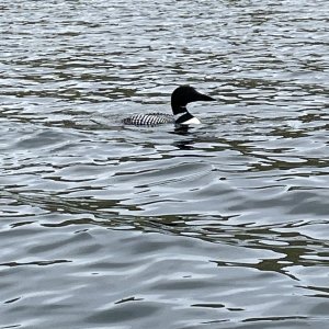 IMG_3900.jpg