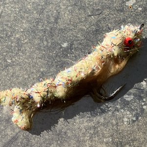 IMG_4642.jpeg