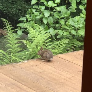 IMG_7468.jpeg