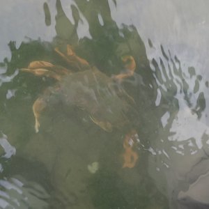 IMG_8019.jpeg