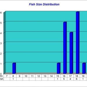 Fish Size Distribution Chart 2024-05-31.jpg