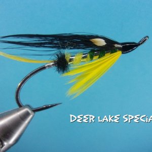 Dear Lake Special.jpg