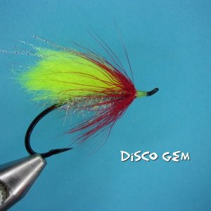 Disco Gem.jpg