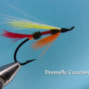 Donally Coachman.jpg