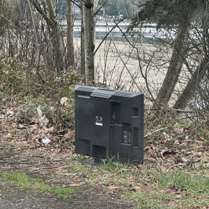 IMG_8103.jpeg