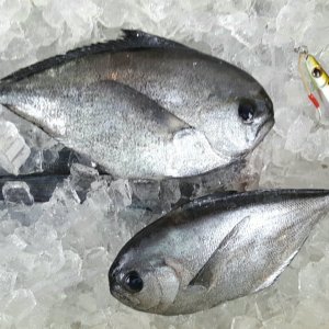 20160917_110102.jpg