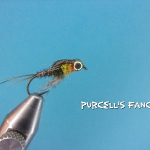 Purcell's Fancy.jpg