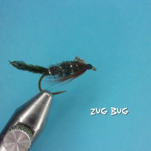 Zug Bug.jpg