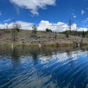 IMG_3971.jpg