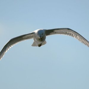 DSC01115 r.jpg