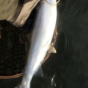 IMG_8158.jpeg