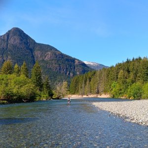 elk river 2024 10.jpg