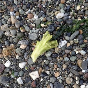 IMG_8197.jpeg