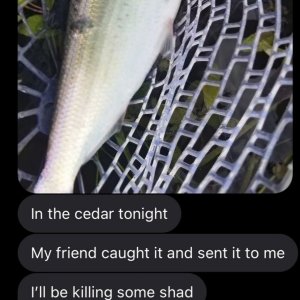 Screenshot_20240610_115732_Messages.jpg