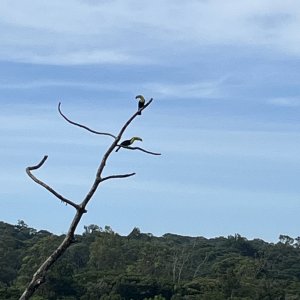 IMG_1078.jpeg